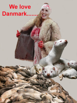 Dänemark, Danmark