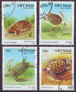 197434014513_ml.png