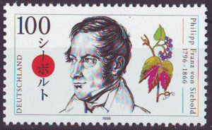 805486000359_ml.png