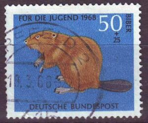 BRD-555-g2.jpg