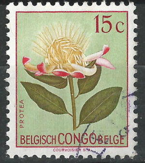 Belgisch-Congo-296-g3.jpg