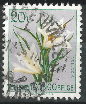 Belgisch-Congo-297-g2.jpg