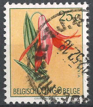 Belgisch-Congo-298.g3.jpg