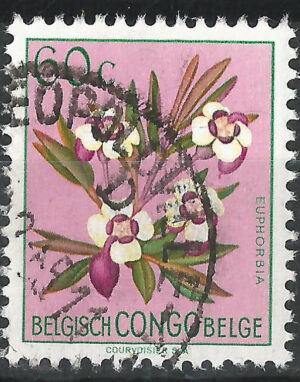 Belgisch-Congo-301-g2.jpg