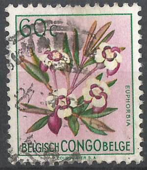 Belgisch-Congo-301.g2.jpg