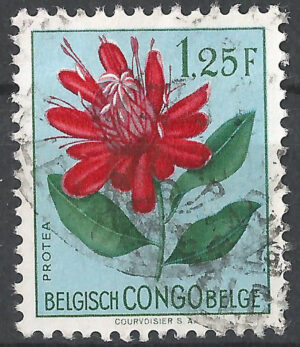 Belgisch-Congo-304.g2_ml.jpg