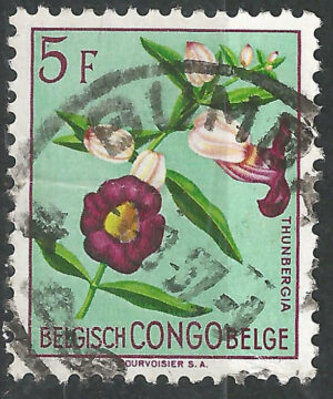 Belgisch-Congo-309-g1.jpg