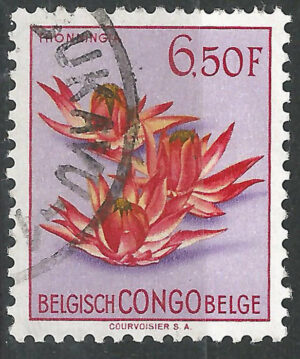Belgisch-Congo-310-g1.jpg