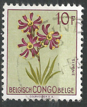 Belgisch-Congo-313-g1.jpg