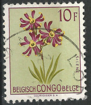 Belgisch-Congo-313-g2.jpg