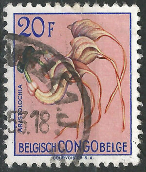 Belgisch-Congo-314-g2.jpg