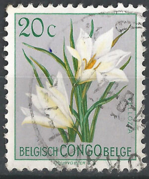 Congo-stamp-297-g2.jpg