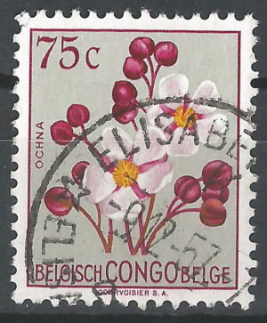Congo-stamp-302-g2.jpg