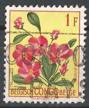 Congo-stamp-303-g2.jpg