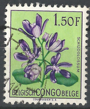 Congo-stamp-305-g1_ml.jpg