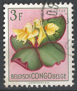 Congo-stamp-307-g3.jpg