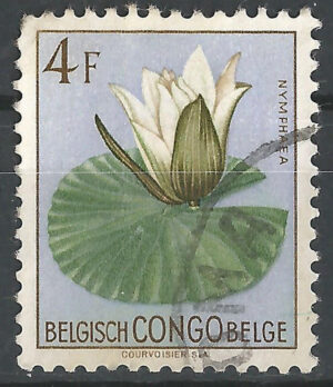 Congo-stamp-308-g2.jpg