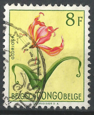 Congo-stamp-312-g3.jpg