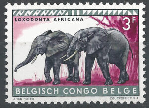 Congo-stamp-350.g1_ml.jpg